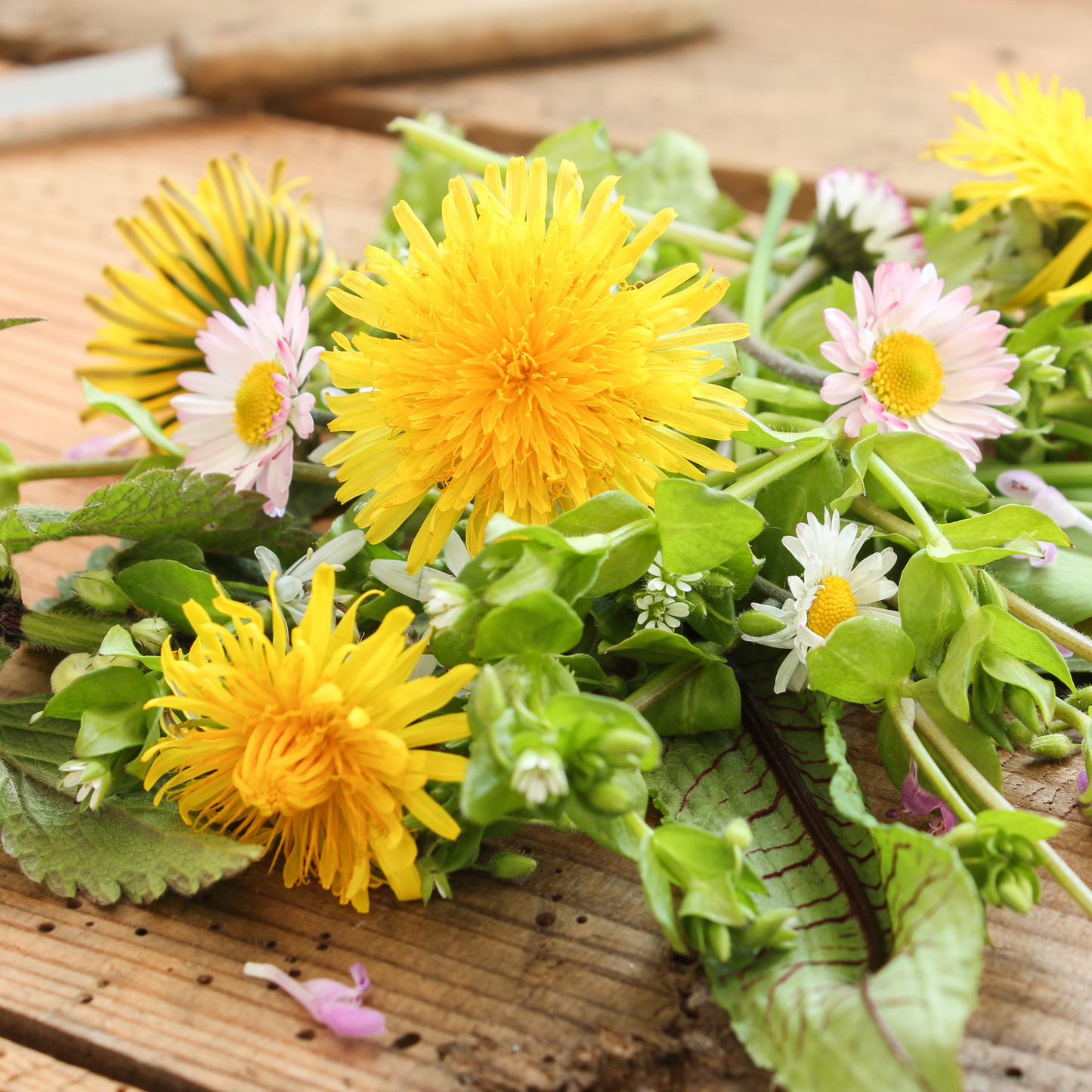 Räucherbündel und Räucherschale aus Keramik - Ein Mittsommer-Workshop am 21.06.2026, 10.30 - 13.30 Uhr